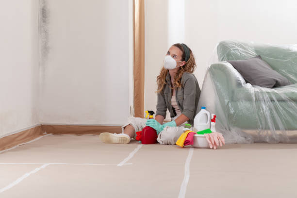 Trusted Basement Mold Remediation service in Decatur, MI - Cheap Mold Removal